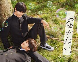 日韩毛片无码永久免费看