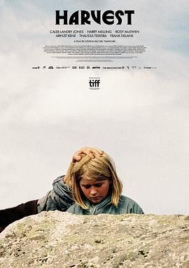 18色禁用短app下载